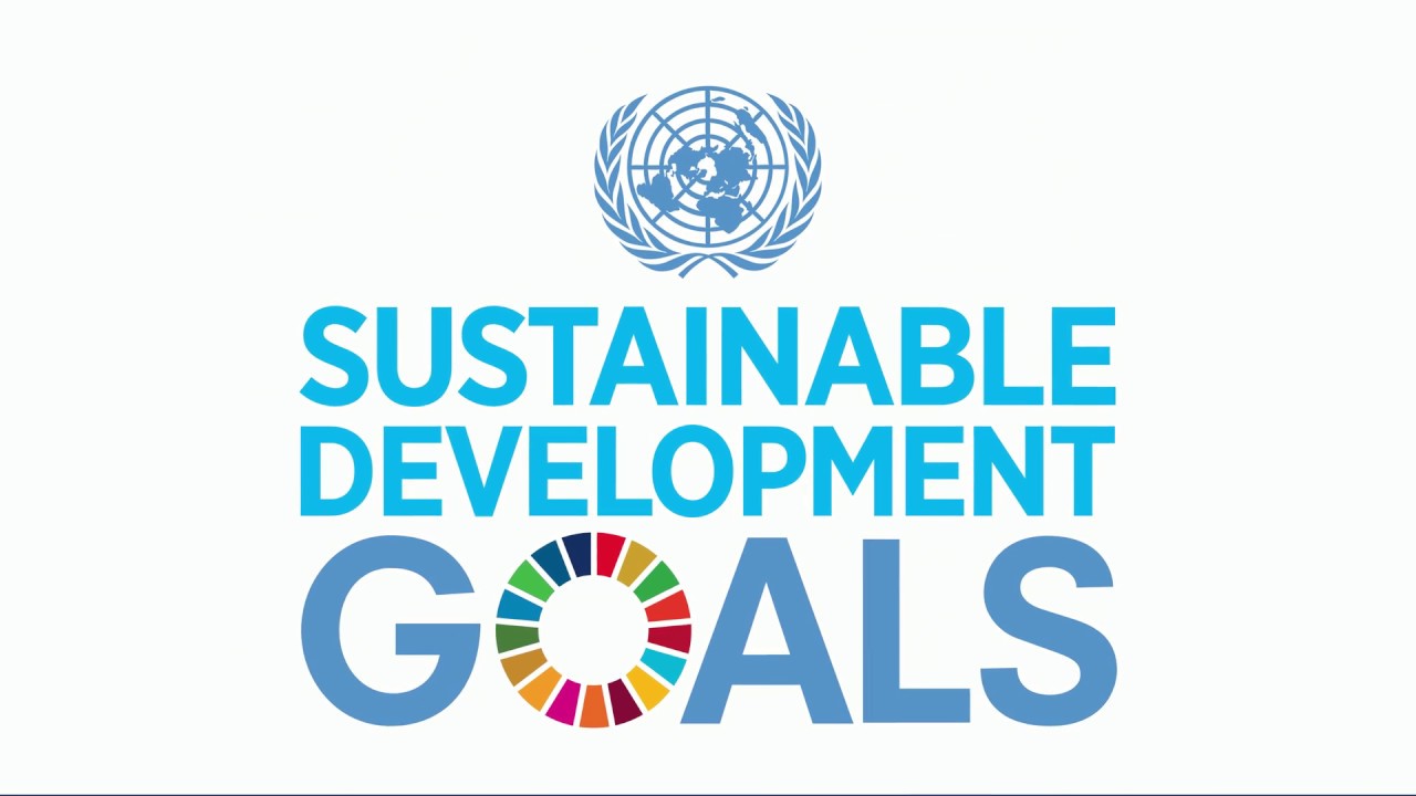 how-to-achieve-the-sustainable-development-goals-reflow